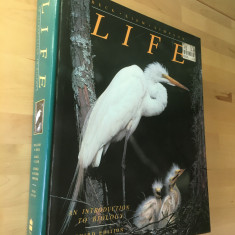 CARTE STIINTA: Life - An Introduction to Biology Third Edition [1991] [ENG]