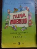 Taina numerelor. Teste de matematica pentru clasa 1- Mihaela Singer, Mariana Rasnoveanu