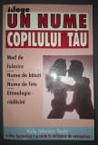 Alege un nume copilului tau - Kyle Johnson Yeats - Carte hobby