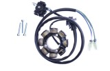 Stator Honda CRF 250 04- 09, CRF 450 02- 09 Electrex ST1495