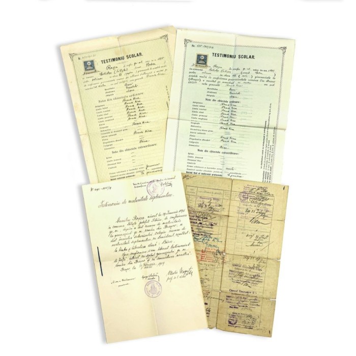 Dumitru D. Roșca, documente din arhiva personală