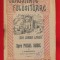 &quot; Spre Polul Sudic&quot; Ion Simionescu