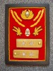 PANOU CU SET COMPLET DE EPOLETI, PETLITE, COIFURA GENERAL LOCOTENENT TRUPE TERESTRE,1980, RAR , IM 1.208