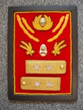 PANOU CU SET COMPLET DE EPOLETI, PETLITE, COIFURA GENERAL LOCOTENENT TRUPE TERESTRE,1980, RAR , IM 1.208