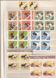 ROMANIA 1965 LP 620 CAINI DE VANATOARE SERIA IN BLOC DE 4 TIMBRE MNH NESTAMPILAT