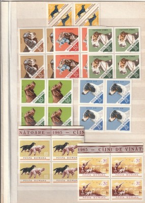 ROMANIA 1965 LP 620 CAINI DE VANATOARE SERIA IN BLOC DE 4 TIMBRE MNH NESTAMPILAT foto