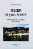 Pelerini In Tara Sfanta. Ghid Geografic Si Religios Al Israel - Claudiu Dumea , F941