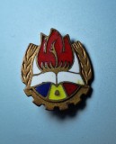 Insigna - Insigna Pionieri, Organizatia Pionierilor RSR, Romania de la 1950