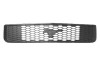 Grila radiator Ford Mustang, 09.2004-02.2009, negru, 6R3Z8200AA, 325305