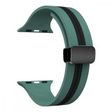 Cumpara ieftin Curea silicon, compatibila Apple Watch 9|8|7|6|5|4|3|2|1 Series, 41mm|40mm|38mm, Jade Stripe