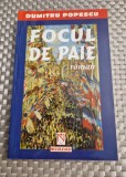 Focul de paie Dumitru Popescu