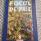 Focul de paie Dumitru Popescu