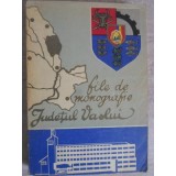 JUDETUL VASLUI. FILE DE MONOGRAFIE-AUREL ZUGRAVU, PETRE IOSUB, ION AL. ANGHELUS-235593