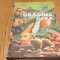GRADINA DE LINGA CASA - Z. Suciu, E. Draganescu, M. Goian - 1983, 265 p.