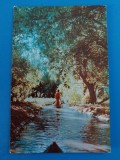 CPIB 23376 CARTE POSTALA - VEDERE DIN DELTA DUNARII, RPR, CIRCULATA, 1962, STAMPILE, TIMBRU, Fotografie