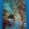 CPIB 23376 CARTE POSTALA - VEDERE DIN DELTA DUNARII, RPR, CIRCULATA, 1962, STAMPILE, TIMBRU
