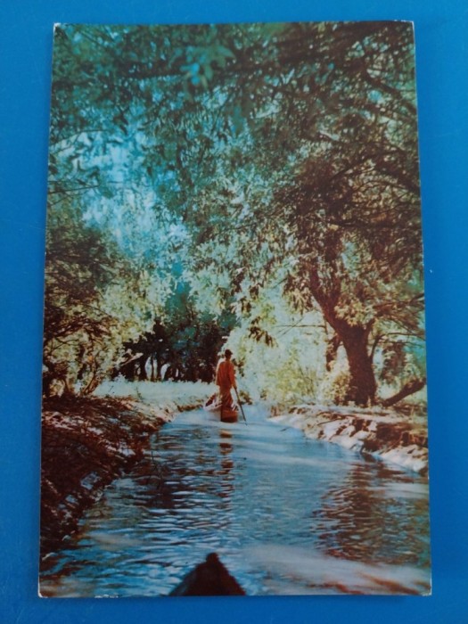 CPIB 23376 CARTE POSTALA - VEDERE DIN DELTA DUNARII, RPR, CIRCULATA, 1962, STAMPILE, TIMBRU
