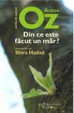 Din ce este facut un mar? Convorbiri cu Shira Hadad - Amos Oz