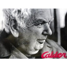 CALDER- VARIATIUNI PE TEMA HOMO FABER- DAN HAULICA - CU 12 PORTRETE DE DAN. ER. GRIGORESCU