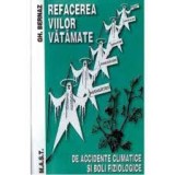 Gheorghe Bernaz - Refacerea viilor vătămate