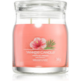 Yankee Candle Tropical Breeze lum&acirc;nare parfumată Signature 368 g