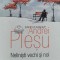 Nelinisti vechi si noi - 2015 - Andrei Plesu (C20)