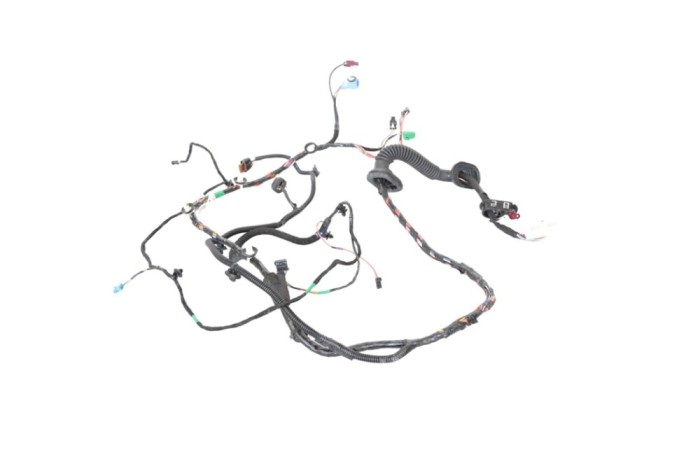 Cablaj ușă dreapta față TESLA MODEL 3 2020 OEM: 2067963-02-A 23954498