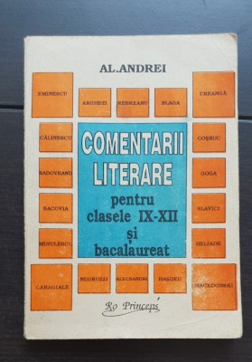 Comentarii literare pentru clasele IX-XII și Bacalaureat - Al. Andrei foto