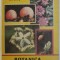 BOTANICA DISTRACTIVA de TUDOR OPRIS , 1992