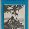 THE GOSPEL OF JOHN by WILLIAM MacDONALD , 1972