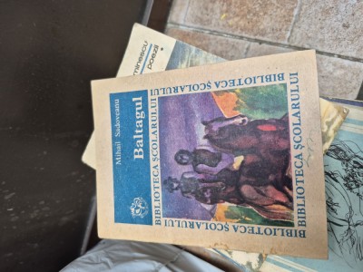 Baltagul vintage foto