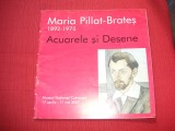 MARIA PILAT BRATES - Muzeul National Cotroceni - album