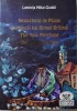 Negustorul de Ploaie. O Manusi kai Bitinel Brisind. The Rain Merchant. Der Regenhandler &ndash; Luminita Mihai Cioaba