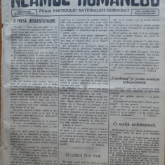 Ziarul Neamul romanesc , nr. 22 , 1915 , din perioada antisemita a lui N. Iorga
