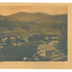 215 - COLIBITA, Bistrita Nasaud, Romania - old postcard - unused - 1926