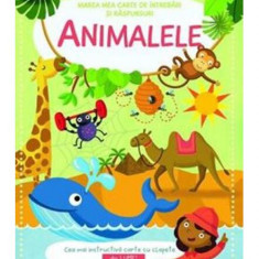 Animalele. Marea mea carte de întrebări și răspunsuri - Hardcover - *** - Prut