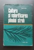 Cultura și valorificarea pinului strob - Stelian Radu (silvicultură)