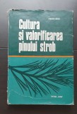 Cultura și valorificarea pinului strob - Stelian Radu (silvicultură)