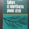 Cultura și valorificarea pinului strob - Stelian Radu (silvicultură)
