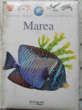 PRIMA MEA ENCICLOPEDIE. MAREA-COLECTIV