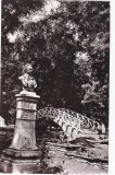AMS - ILUSTRATA 1226, BOTOSANI - VEDERE DIN PARCUL &bdquo;M. EMINESCU&rdquo;