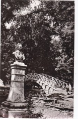 AMS - ILUSTRATA 1226, BOTOSANI - VEDERE DIN PARCUL &amp;bdquo;M. EMINESCU&amp;rdquo; foto