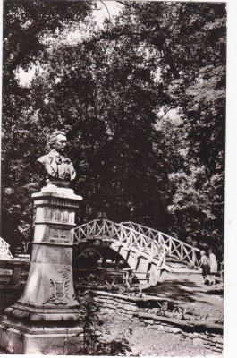 AMS - ILUSTRATA 1226, BOTOSANI - VEDERE DIN PARCUL &amp;bdquo;M. EMINESCU&amp;rdquo; foto