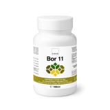 CHRD Bor 11, Fertilizant lichid cu Bor 11% etanolamina. Corectează carențele la floarea-soarelui, rapiță, legume, pomi. Agri Bio, 100ml.