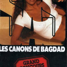 Gerard de Villiers - SAS - Les canons de Bagdad