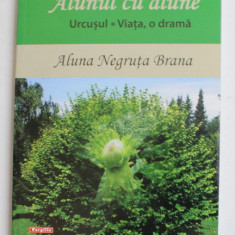 ALUNUL CU ALUNE - URCUSUL - VIATA, O DRAMA de ALUNA NEGRUTA BRANA , 2014