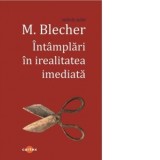 Intamplari in irealitatea imediata - Max Blecher