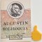Soliloquia - vorbiri insingurate. Sermones - predici Aurelius Augustin