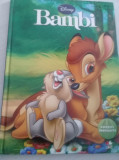 lot 2 carti povesti copii format mare,BAMBI,DISNEY,pozele reprezinta realitatea