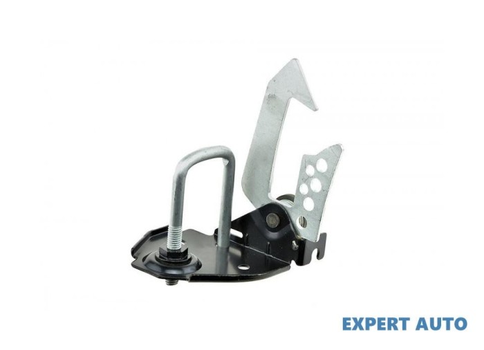 broasca capota BMW X6 (2008->) [E71, E72] #1